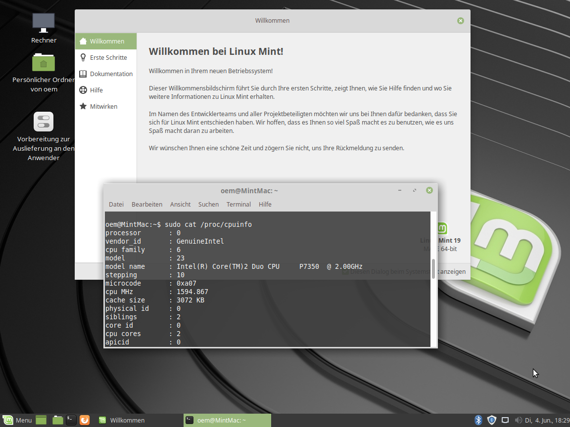 Linux Mint auf einem MacMini vom Oktober 2019